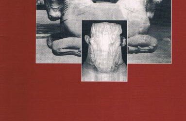 Issue 5