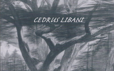 Issue 14