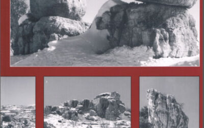 Issue 15
